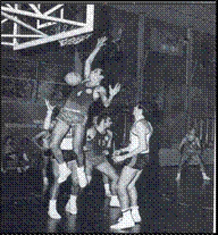 Una fase dell’incontro disputato a Castelletto da parte della Auso Siemens contro la squadra di Pavia.